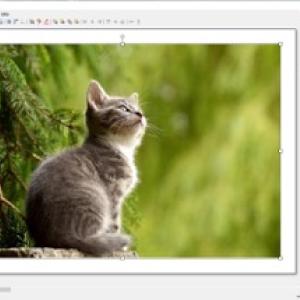 Sultan 330 ml cam şişe koli içi 12 adet